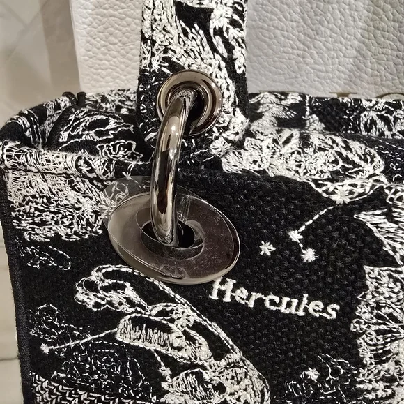 🔥RARE🔥 Dior Medium Lady Dior Bag - Picture 4 of 15